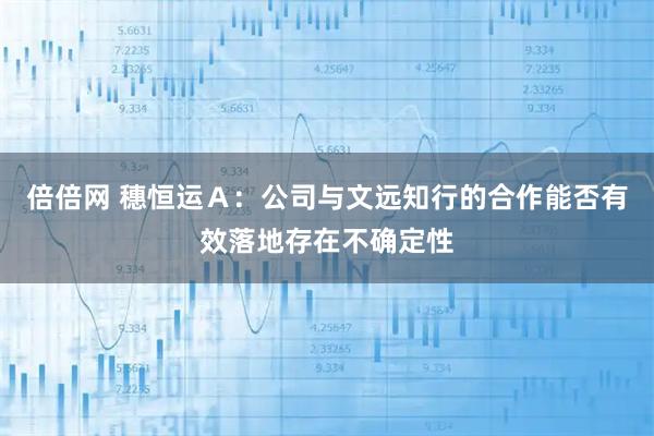 倍倍网 穗恒运Ａ：公司与文远知行的合作能否有效落地存在不确定性
