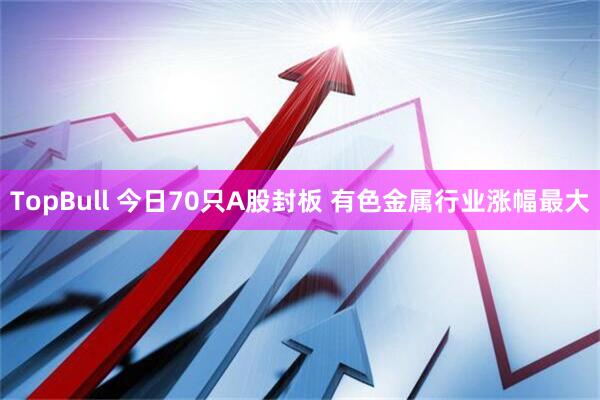 TopBull 今日70只A股封板 有色金属行业涨幅最大