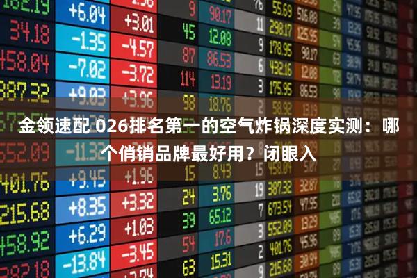 金领速配 026排名第一的空气炸锅深度实测：哪个俏销品牌最好用？闭眼入