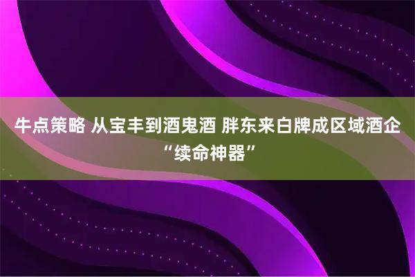 牛点策略 从宝丰到酒鬼酒 胖东来白牌成区域酒企“续命神器”