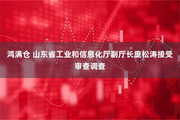鸿满仓 山东省工业和信息化厅副厅长庞松涛接受审查调查